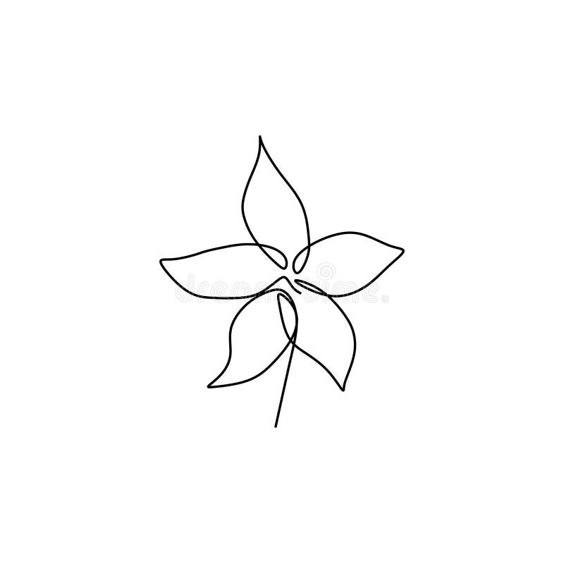 Continuous Line Art Drawing Of Minimal Flower Hand Drawn Vector Illustration Single One Design Stock Vector Illustration Of Creative Leaf Continuous Line Art Drawing Of Minimal Flower Hand Drawn Vector Illustration Single One Design Stock Vector Illustration Of Creative Leaf