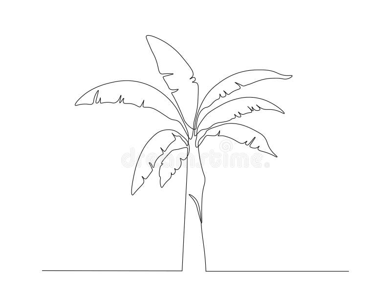 Continuous Line Drawing of Banana Tree. One Line of Banana Plant. Banana Tree Continuous Line
