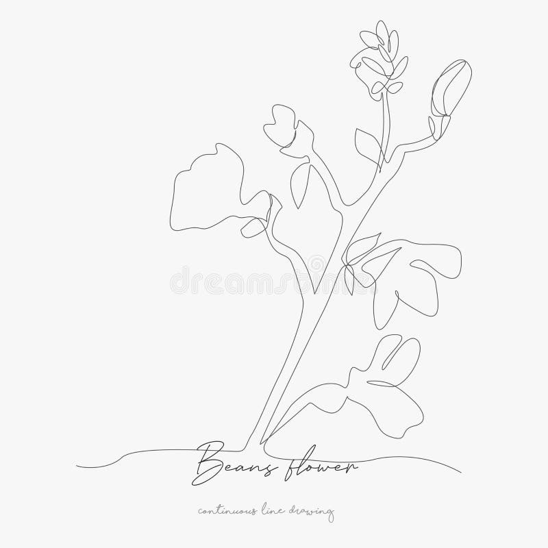 Featured image of post Simple Hands Holding A Flower Drawing Learn to draw a lotus flower