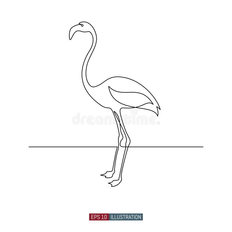 Continuous Line Drawing of Flamingo Bird. Template for Your Design