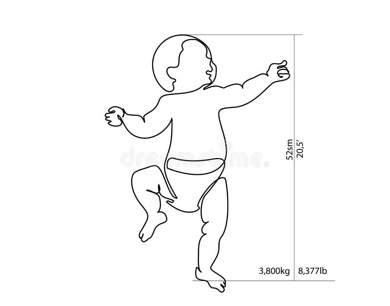 Free Vectors  Height & weight measurement