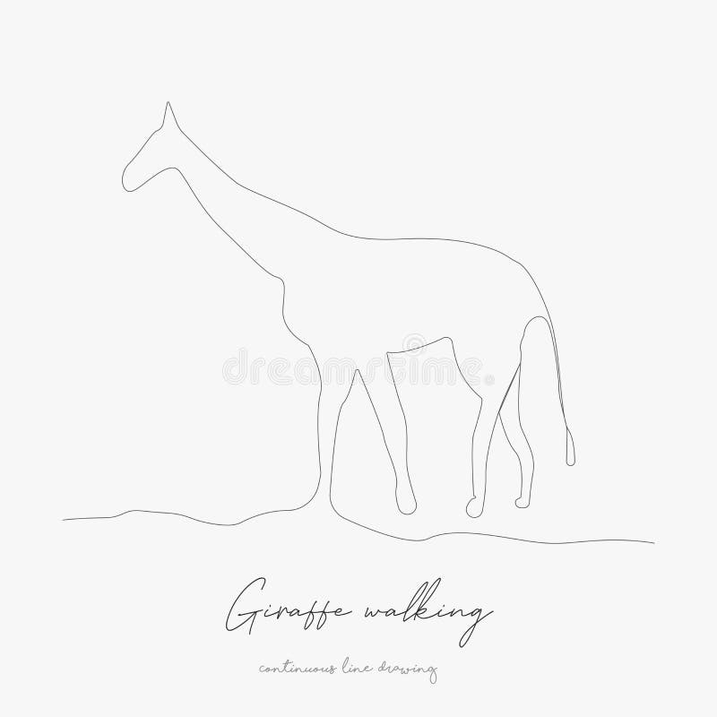 Continuous Line Drawing Giraffe Walking Simple Vector Illustration