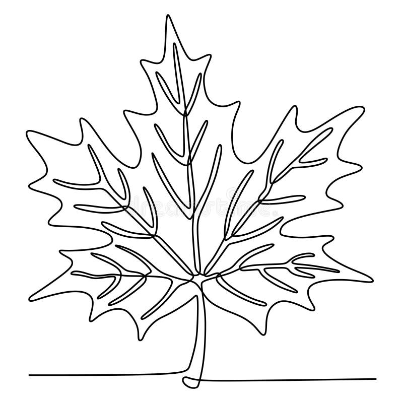 Continuous Line Drawing of Maple Leaves One Hand Drawn Lineart Design