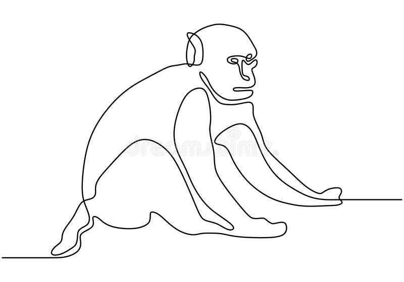 Continuous Line Drawing of Monkey Animal Vector. Hand Drawn Wildlife