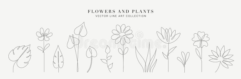 Continuo línea dibujo un conjunto compuesto por plantas negro bosquejo de flores aislado sobre fondo blanco.