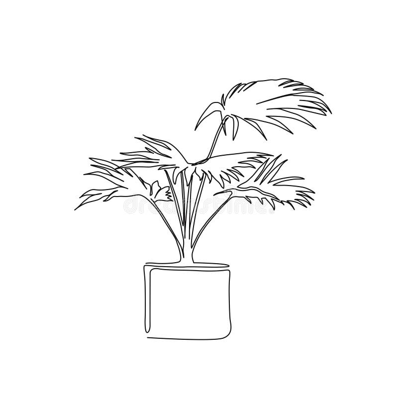 Continuous Line Drawing of Tropical Palm Plant in Pot. Tropical Plant