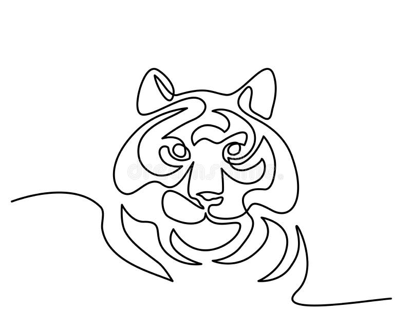 Tiger Line Drawing Stock Illustrations 2 476 Tiger Line Drawing