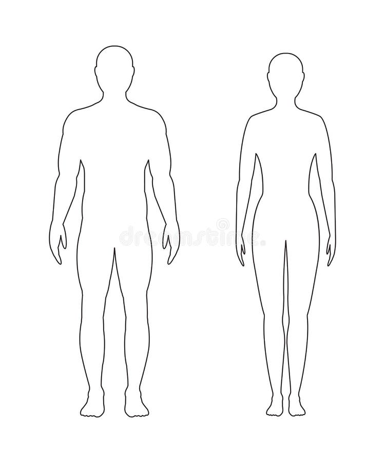 Contorno masculino e fêmea no fundo branco