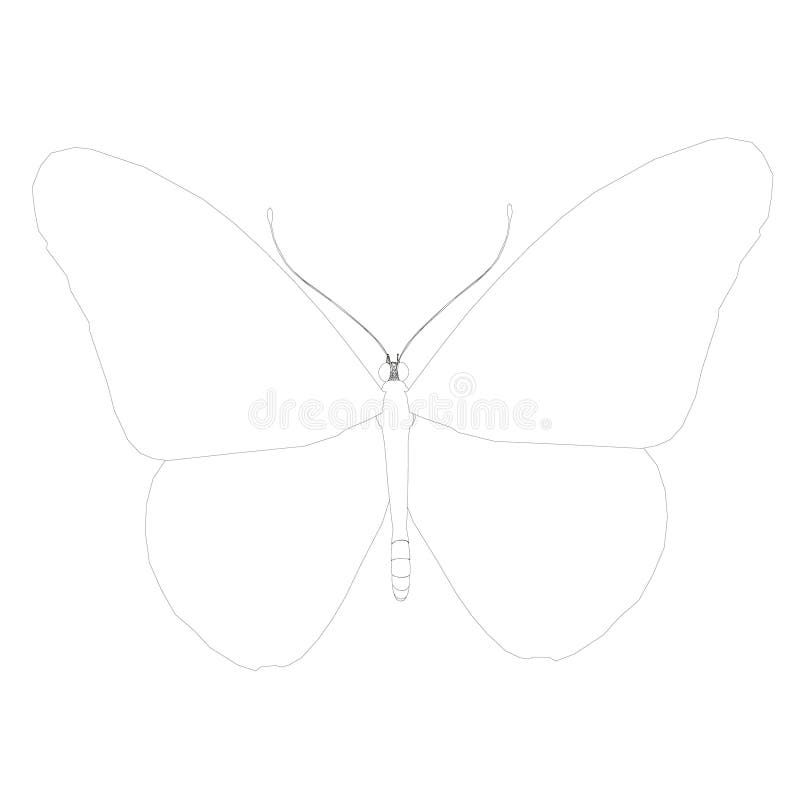 Black White Butterfly Simple Stock Illustrations 3 769 Black White Butterfly Simple Stock Illustrations Vectors Clipart Dreamstime