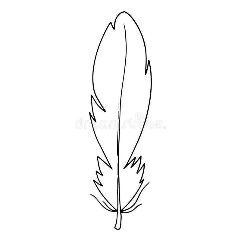 Feather Birds Stock Illustrations – 48,462 Feather Birds Stock