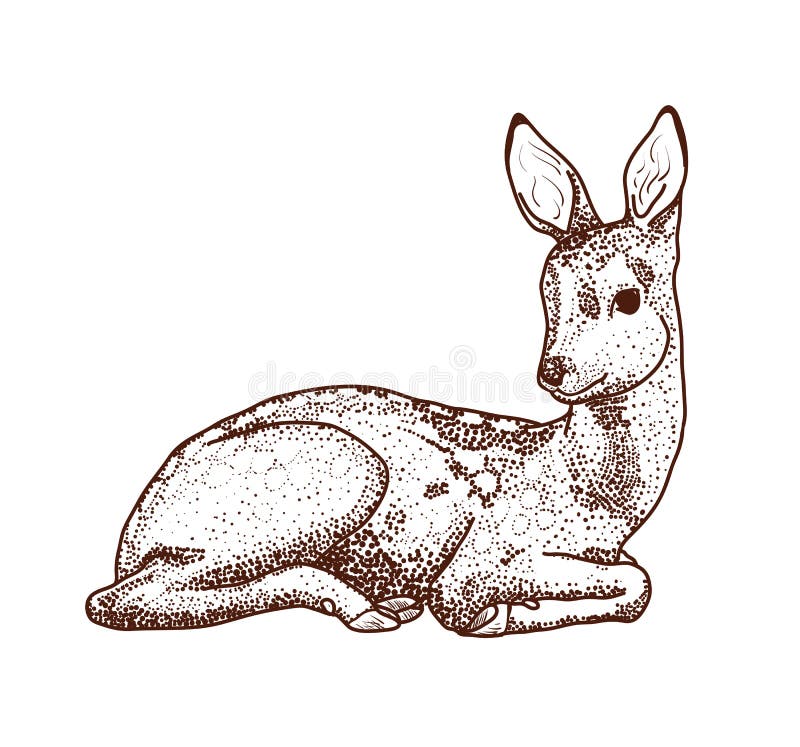 Contour drawing deer points royalty free illustration.