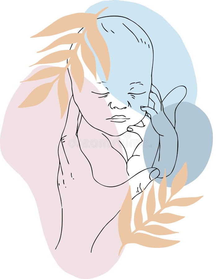Contour image of a sleeping baby vector illustration