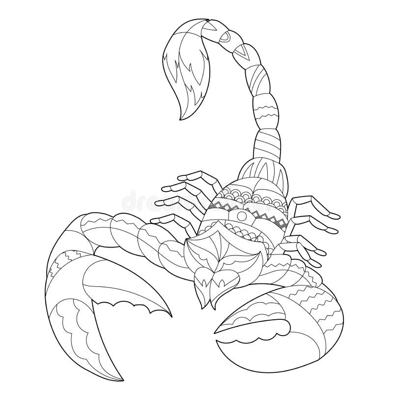 Coloring Page Scorpion Stock Illustrations – 89 Coloring Page Scorpion ...