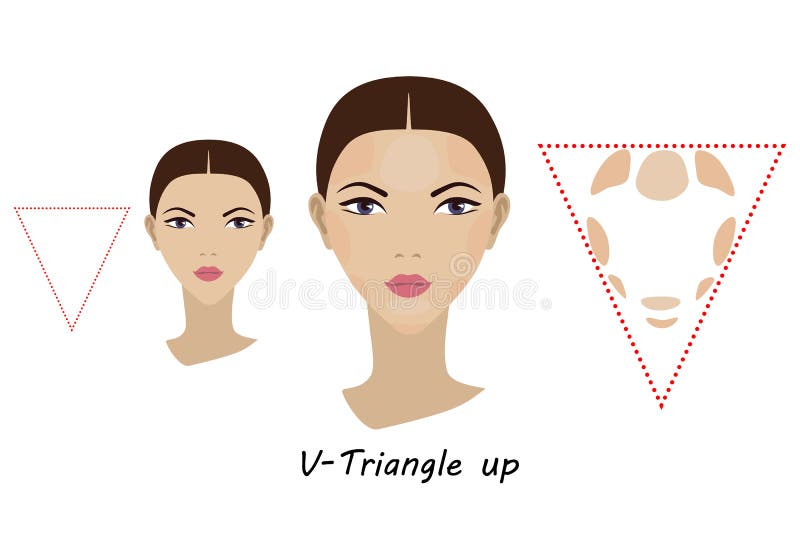 Contour and Makeup Highlights. Contour Shape of the Triangle Face