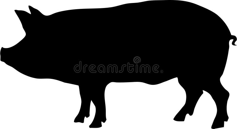 Describir de un cerdo ilustraciones.
