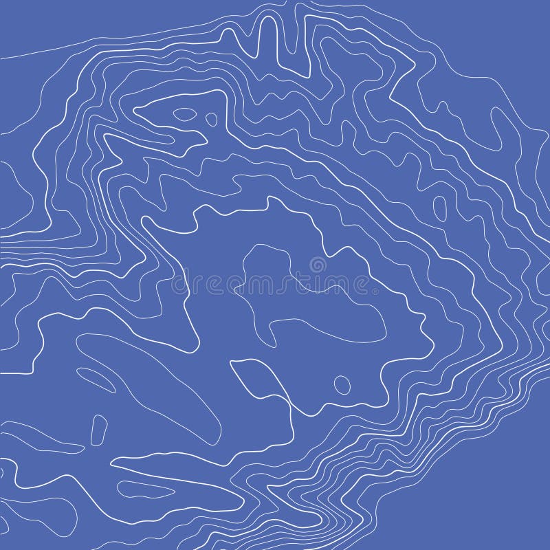 Contour topographic map. Geographic grid map background. Vector illustration vector illustration