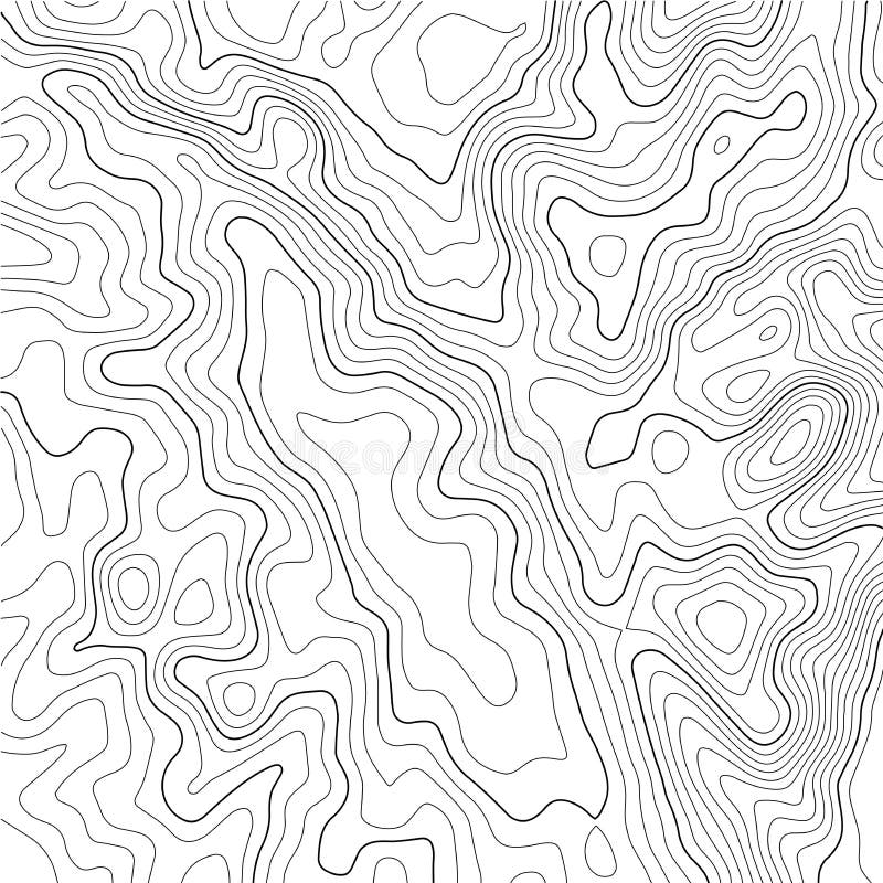 Contour topographic map. Geographic grid map background. Vector illustration vector illustration