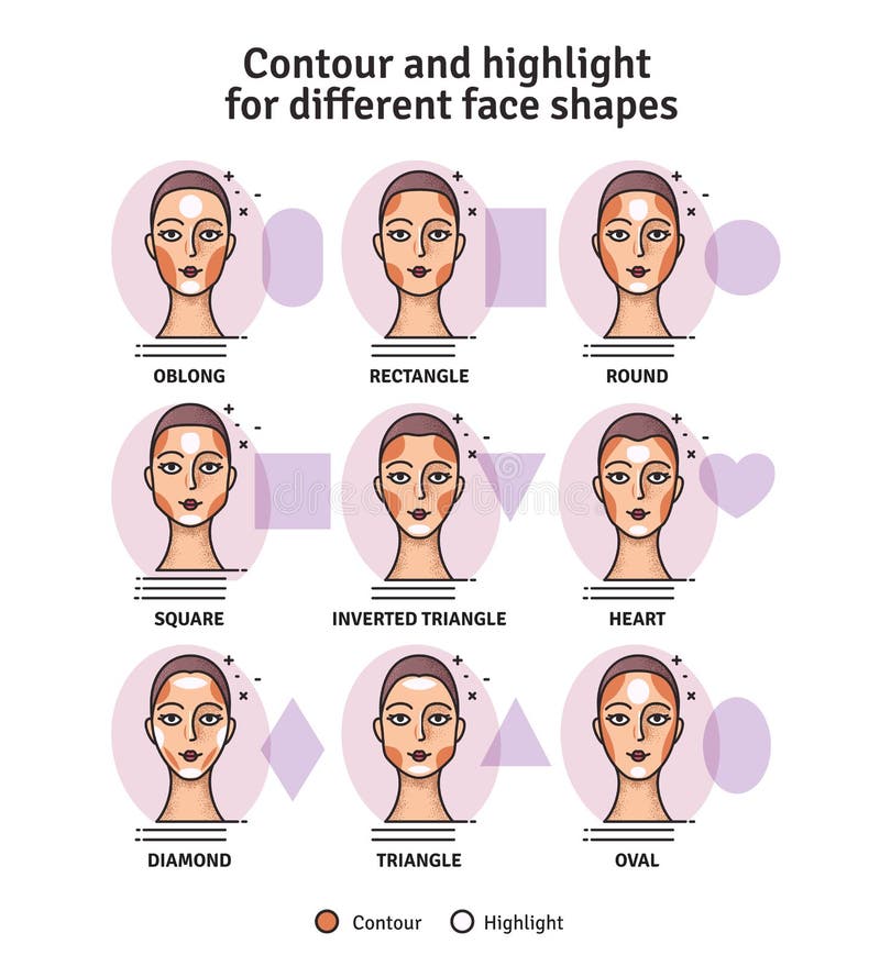 Contouring and Highlight Makeup Guide. Vector Set of Different Types of  Woman Face. Various Makeup for Woman Face. Vector Illustra Stock Vector -  Illustration of beauty, female: 129612812