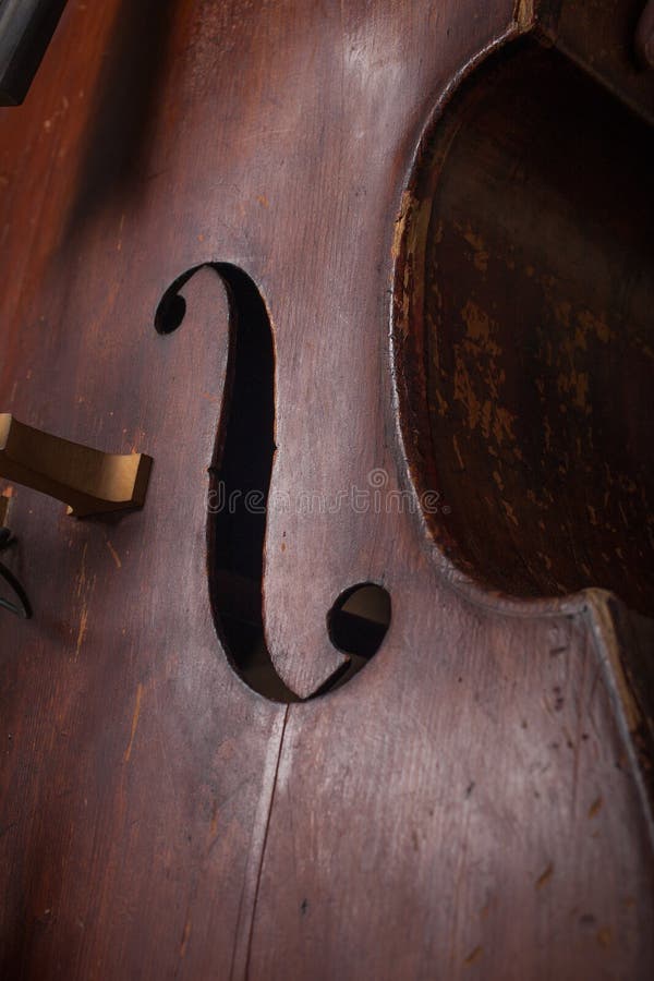Contrabass стоковые изображения rf Contrabass стоковые изображения rf