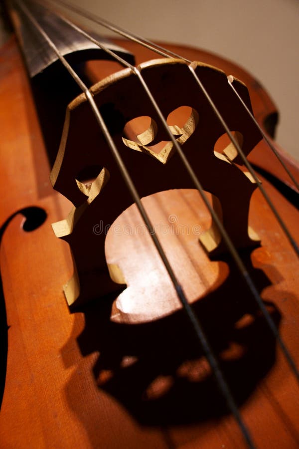 Contrabass heart1