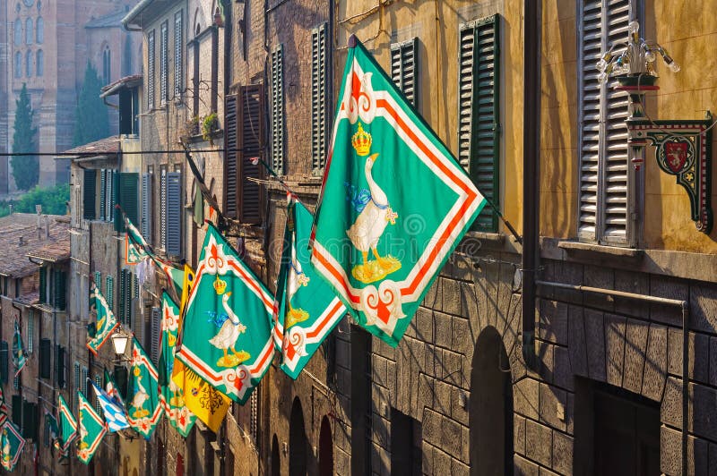 Contrada Oca - Siena imagens de stock royalty free Contrada Oca - Siena imagens de stock royalty free