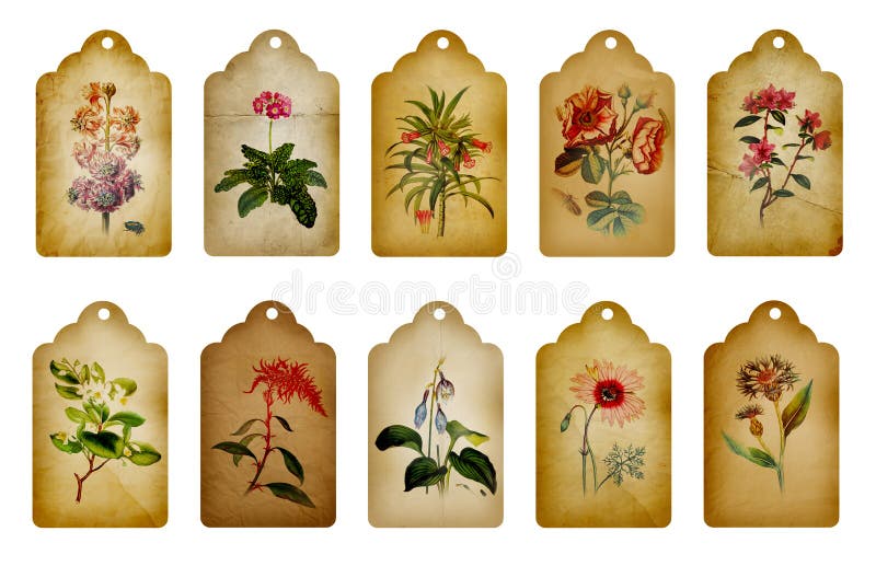 Contrassegni del fiore dell'annata royalty illustrazione gratis Contrassegni del fiore dell'annata royalty illustrazione gratis