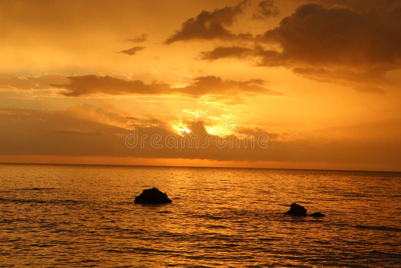 Contrasty panorama seascape shot of a rocky beach at low tide with a golden orange sunset with beautiful sky reflection on ocean