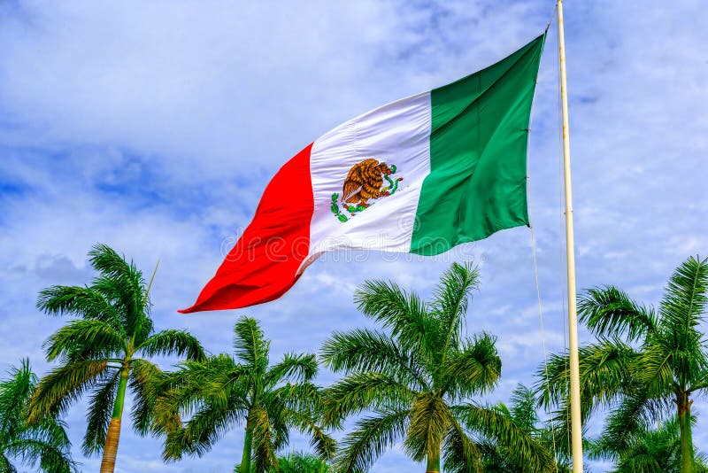 Contre le contexte des palmiers et du drapeau du Mexique de ciel bleu images libres de droits Contre le contexte des palmiers et du drapeau du Mexique de ciel bleu images libres de droits