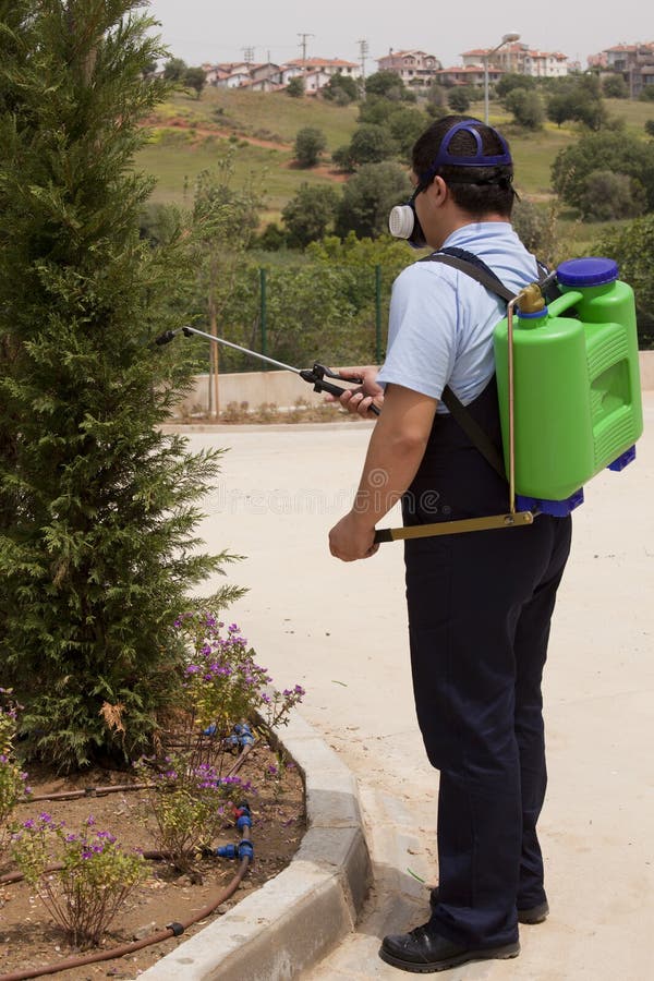 Controle de praga de pulverização dos insetos do homem imagem de stock Controle de praga de pulverização dos insetos do homem imagem de stock