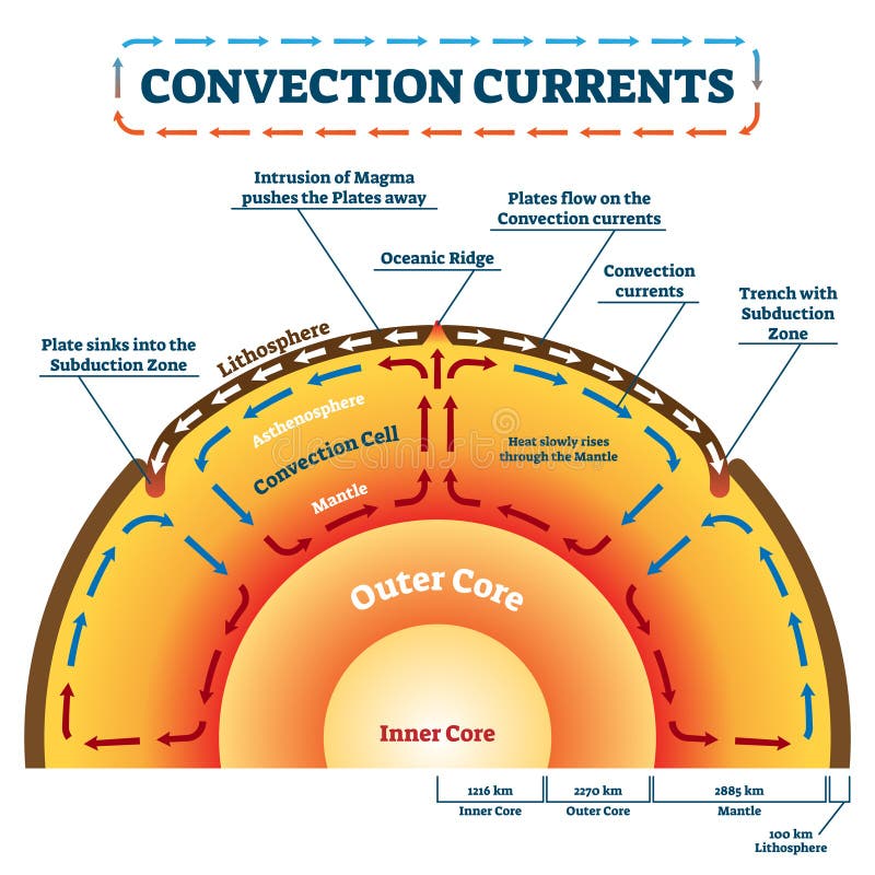 Convection Currents vector illustration. Labeled educational process scheme