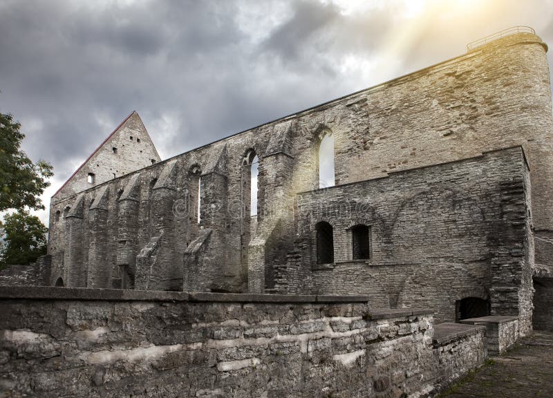 Convento arruinado antigo do St Brigitta 1436 anos na região de Pirita, Tallinn, Estônia imagem de stock Convento arruinado antigo do St Brigitta 1436 anos na região de Pirita, Tallinn, Estônia imagem de stock