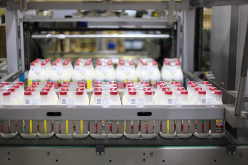 Conveyor with milk at Wimm-Bill-Dann plant royalty free stock photography
