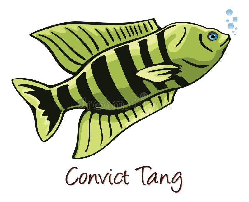 Tang Stock Illustrations 1,818 Tang Stock Illustrations, Vectors