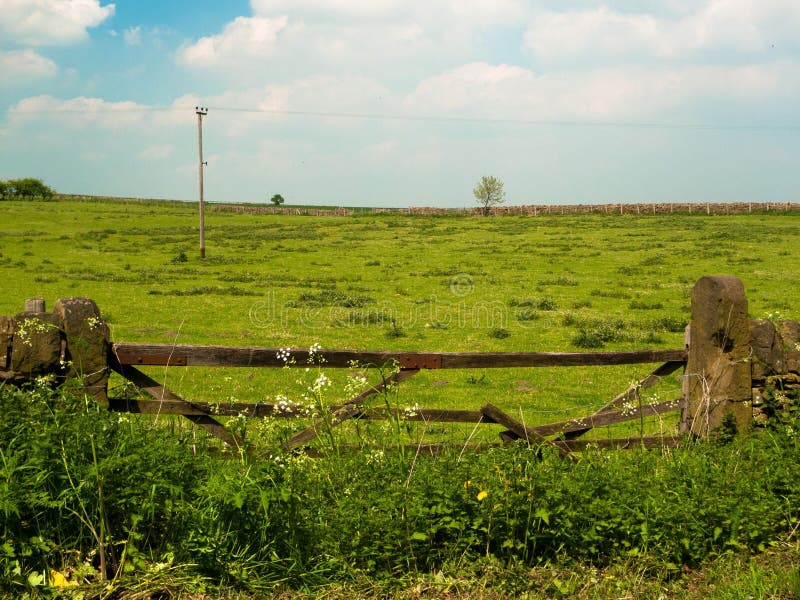 Convidando cerca de madeira num prado prateado lúcido imagem de stock