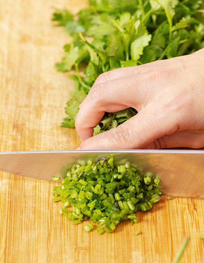 Cook Chopped Green Coriander Stock Image Image of organic, flavor