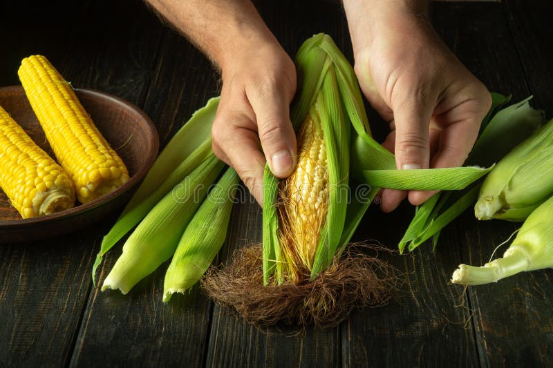 The cook prepares the corn with his hands for cooking for dinner. The idea of a maize diet or dessert royalty free stock photo