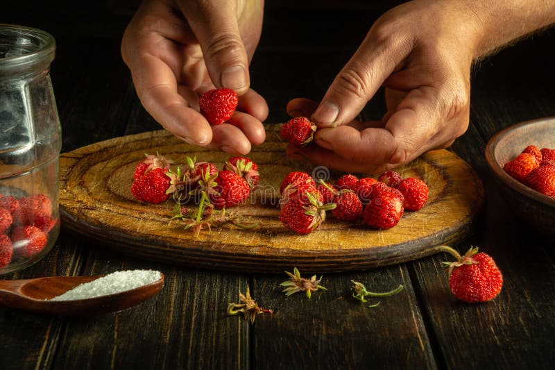 The cook prepares a sweet drink or fruit drink from strawberries in a jar in the kitchen. Cleaning and sorting strawberries before stock photography