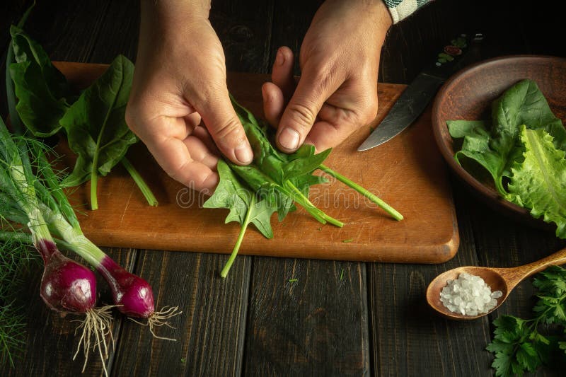 The cook prepares vegetarian food on the kitchen table with spinach and vegetables. Vegetable diet concept stock photography