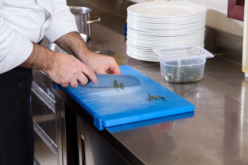 Cook royalty free stock photo