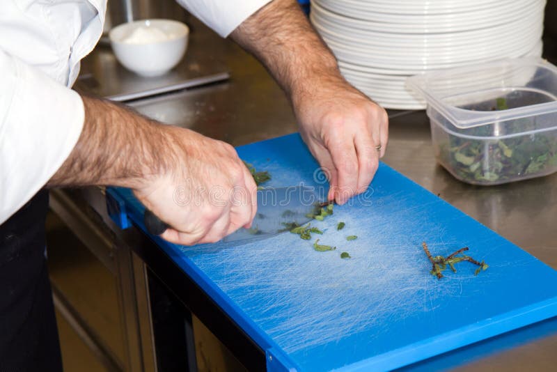 Cook royalty free stock images