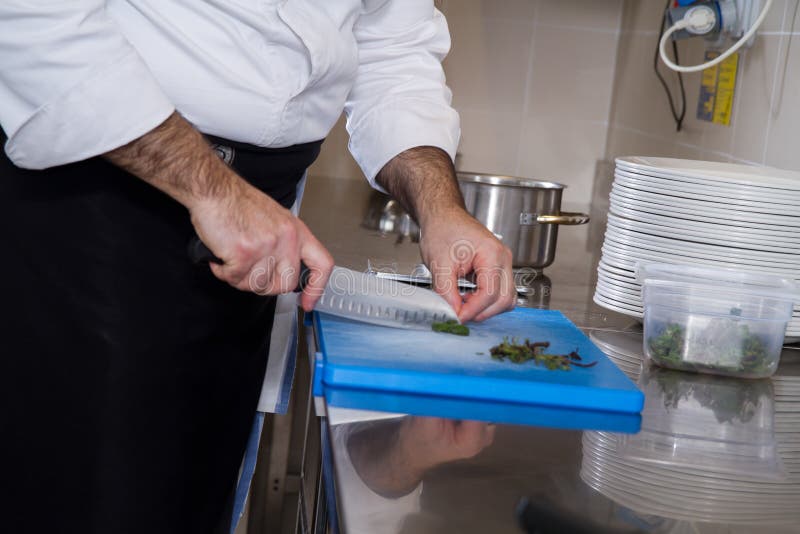 Cook royalty free stock photos