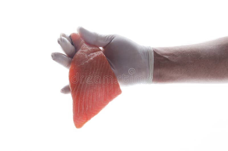 Cook proponuje świeżego łososia dla przygotowywać posiłek Męska ręka w rękawiczce z smakowitym surowym łososiem obrazy stock Cook proponuje świeżego łososia dla przygotowywać posiłek Męska ręka w rękawiczce z smakowitym surowym łososiem obrazy stock