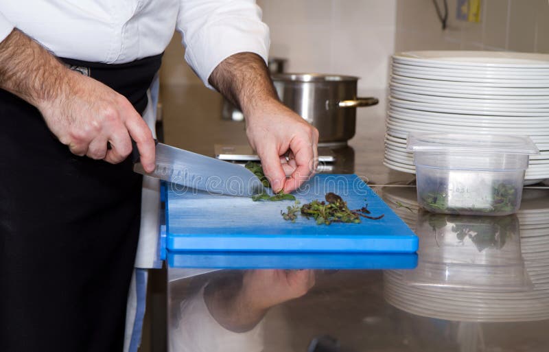 Cook stock photography