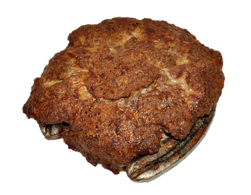 Cooked Beef Patty Contaminated with Horse Meat Stock Photo Image of