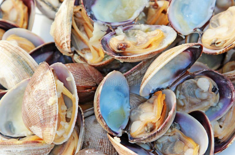 Cooked Clams stock photo. Image of close, market, plate 15494678