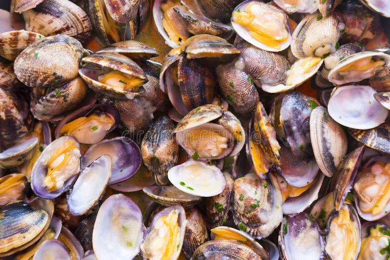 Cooked Clams, Mussels on a Plate Stock Photo Image of gourmet, ocean
