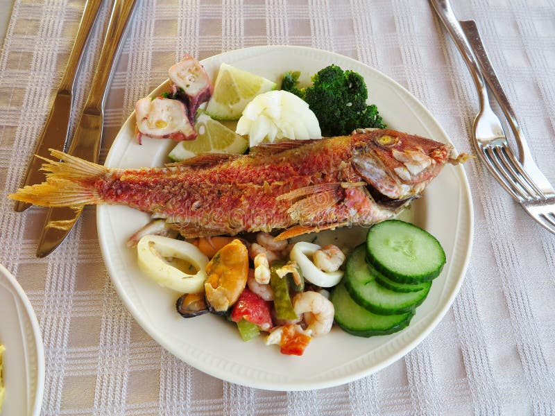 Cooked Fish and Seafood Mussel Squid Cucumber Stock Photo Image of