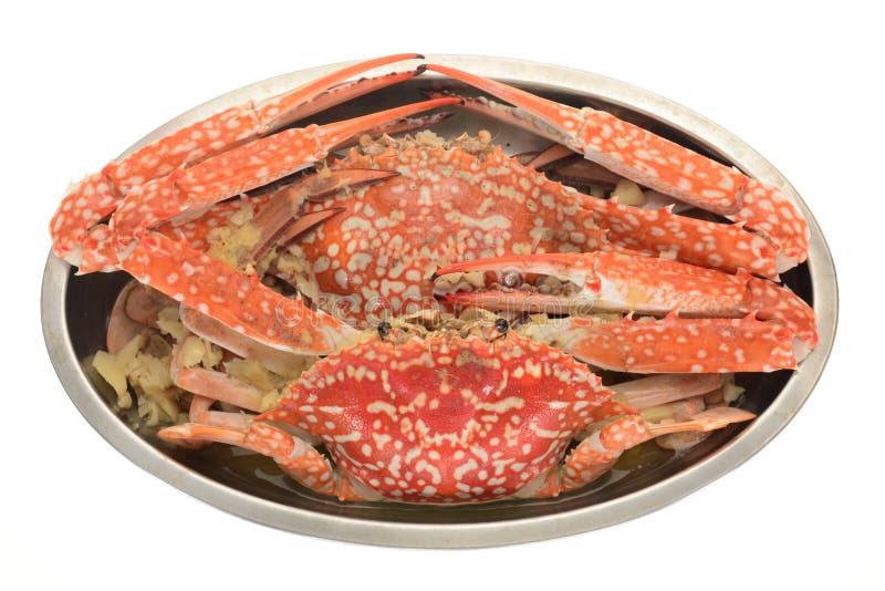 Cooked Flower Crab stock photo. Image of aquatic, clamp 31615512