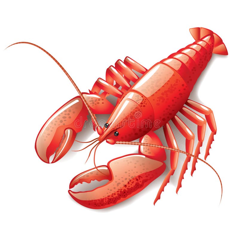 Cooked Lobster Clipart