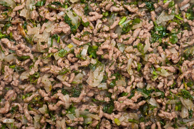 Cooked mince meat stock image. Image of paste, dill, machine 15006409